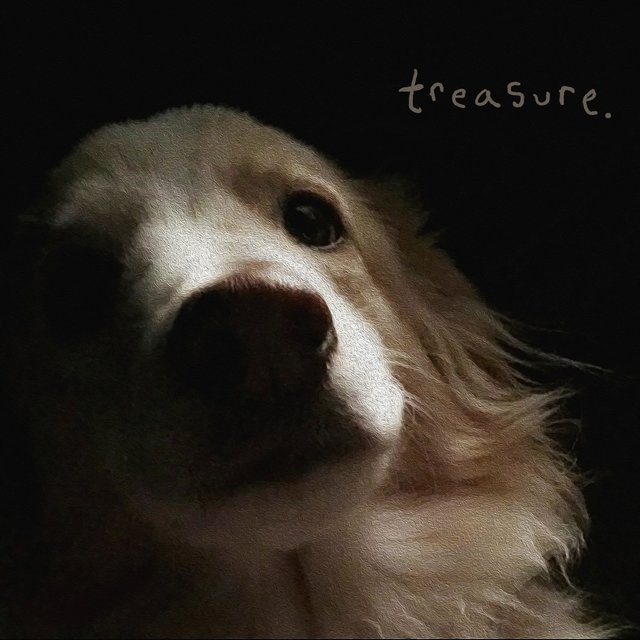 Treasure