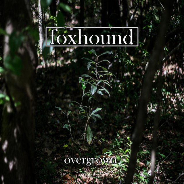 Overgrown