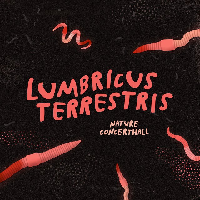 Lumbricus Terrestris