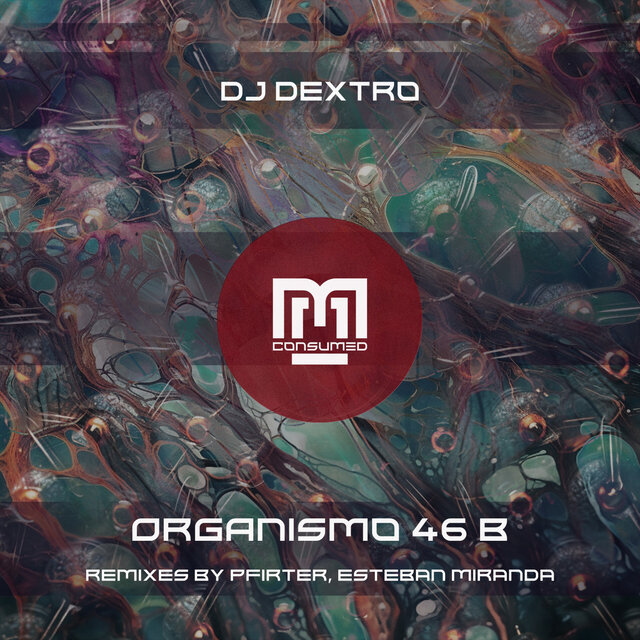 Organismo 46 B
