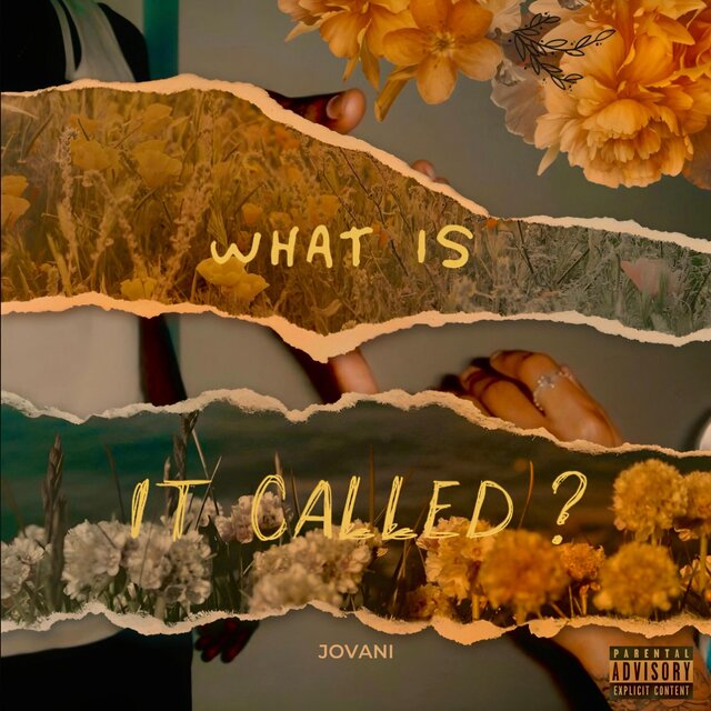 WHAT IS IT CALLED ?