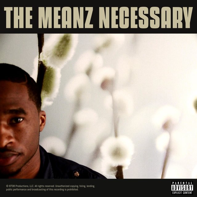 Remember Alwayz (The Meanz Necessary)