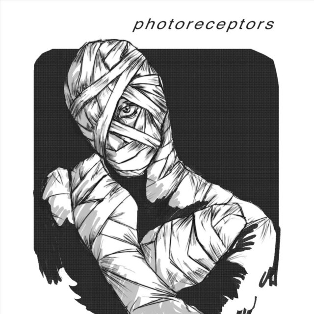Photoreceptors
