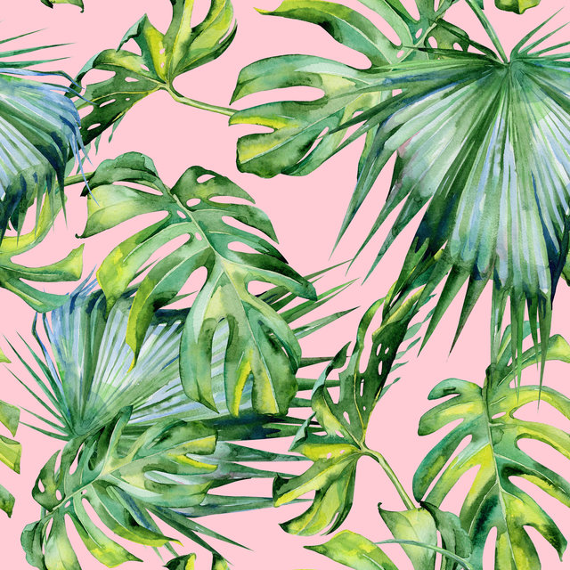 Palms