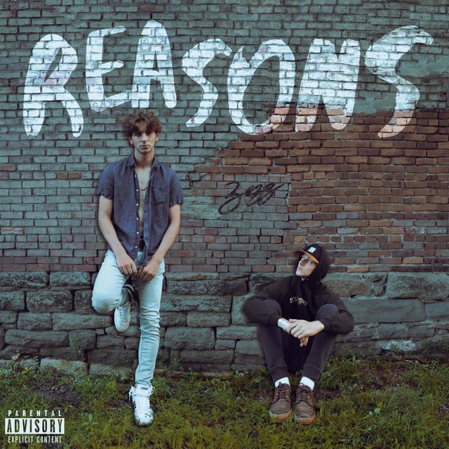 Reasons