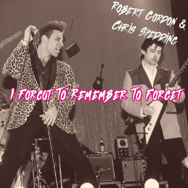I Forgot to Remember to Forget (Live)
