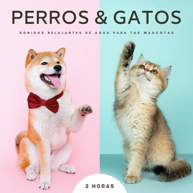 Perros & Gatos: Sonidos Relajantes De Agua Para Tus Mascotas - 2 Horas