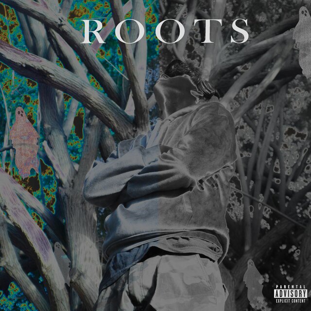 Roots