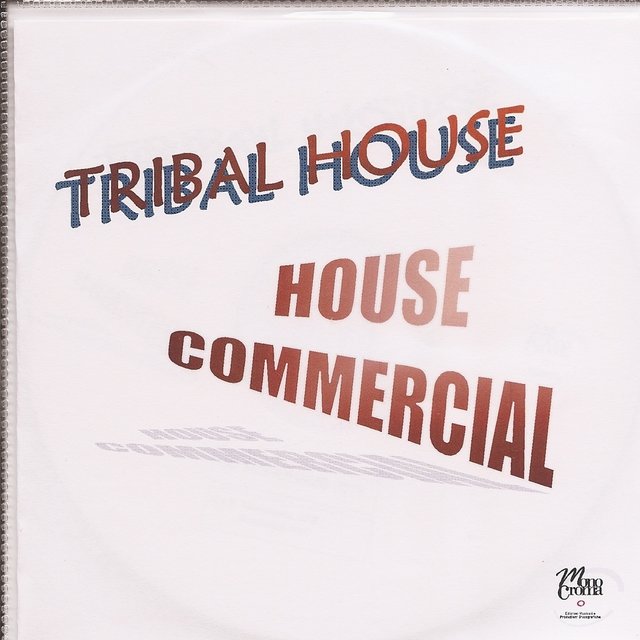 Tribal House - House Commercial