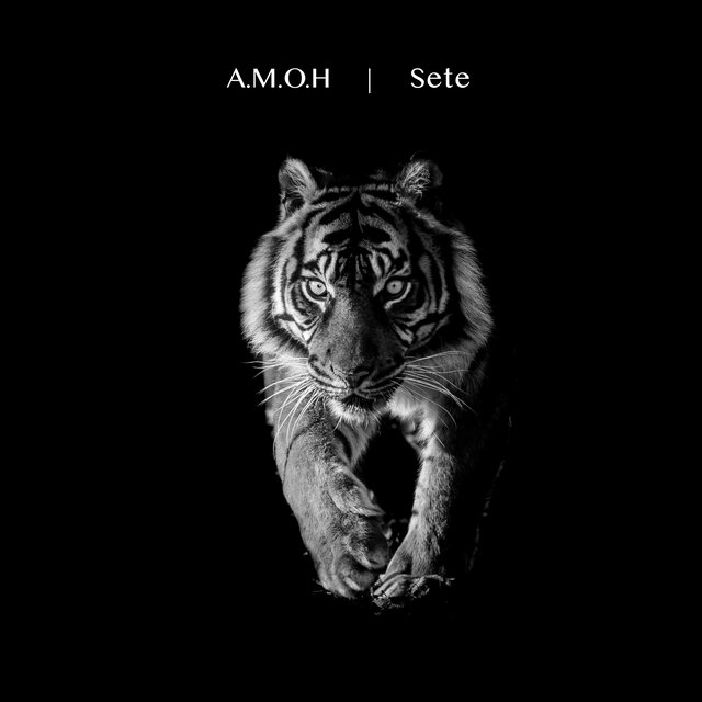 Sete