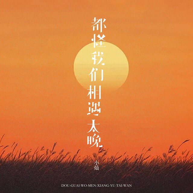 都怪我们相遇太晚