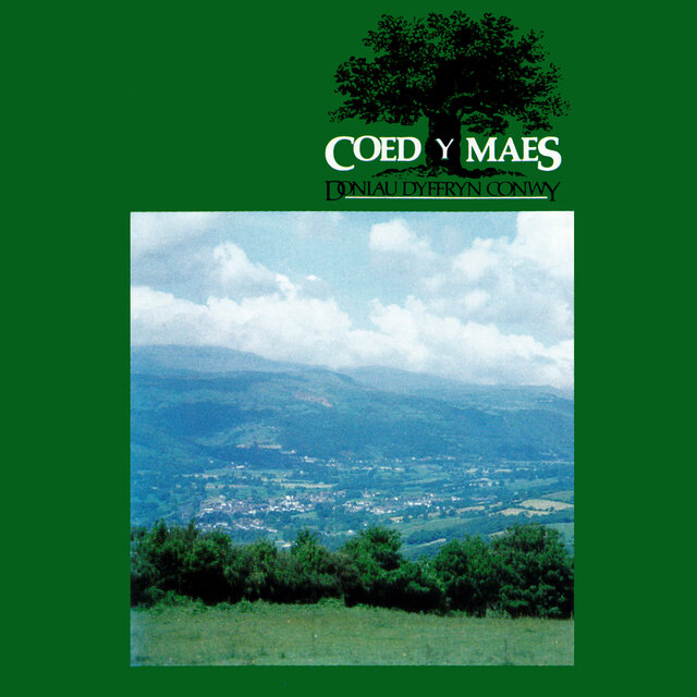 Coed Y Maes