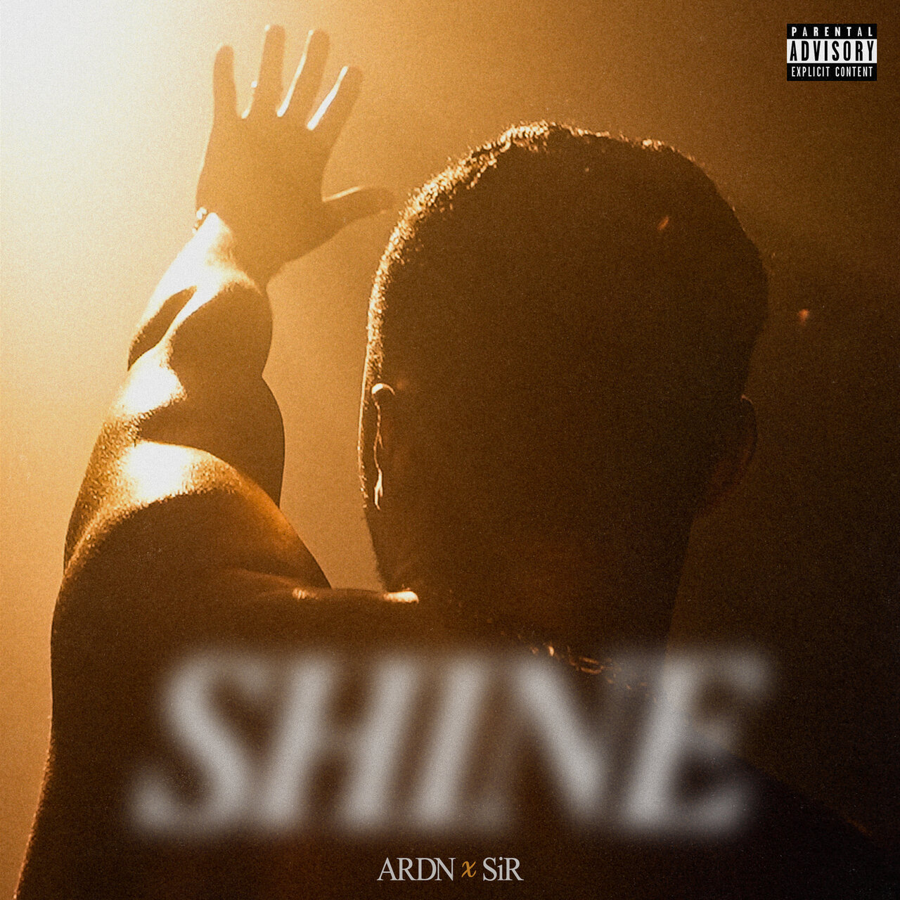 SHINE by ARDN & SiR on TIDAL
