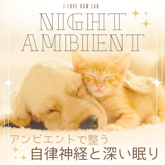 NIGHT AMBIENT Ambient to regulate the autonomic nervous system and promote deep sleep