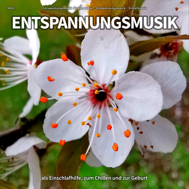 #001 Entspannungsmusik als Einschlafhilfe, zum Chillen und zur Geburt