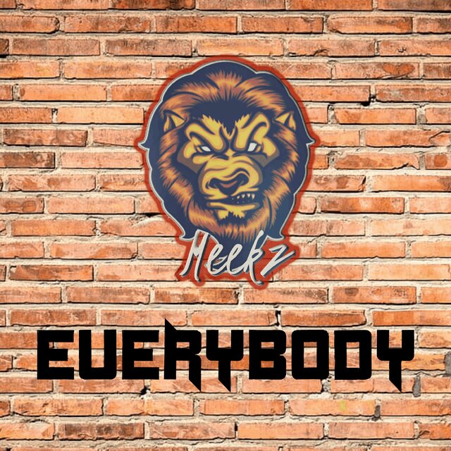 Everybody by Meekz on TIDAL