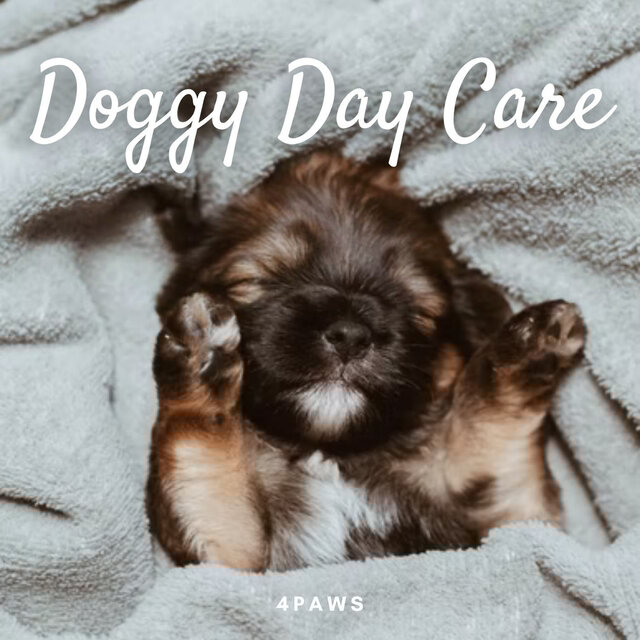 4Paws: Doggy Day Care
