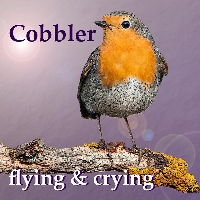 Flying & Crying