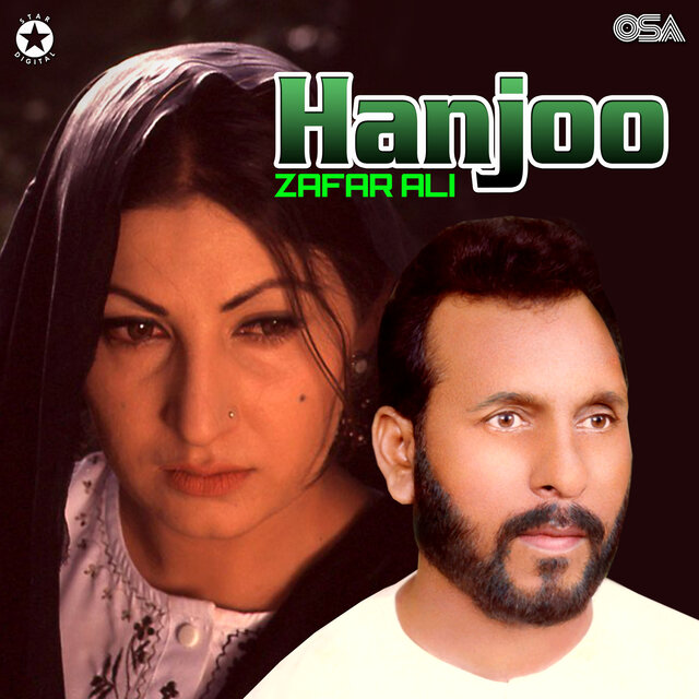 Hanjoo