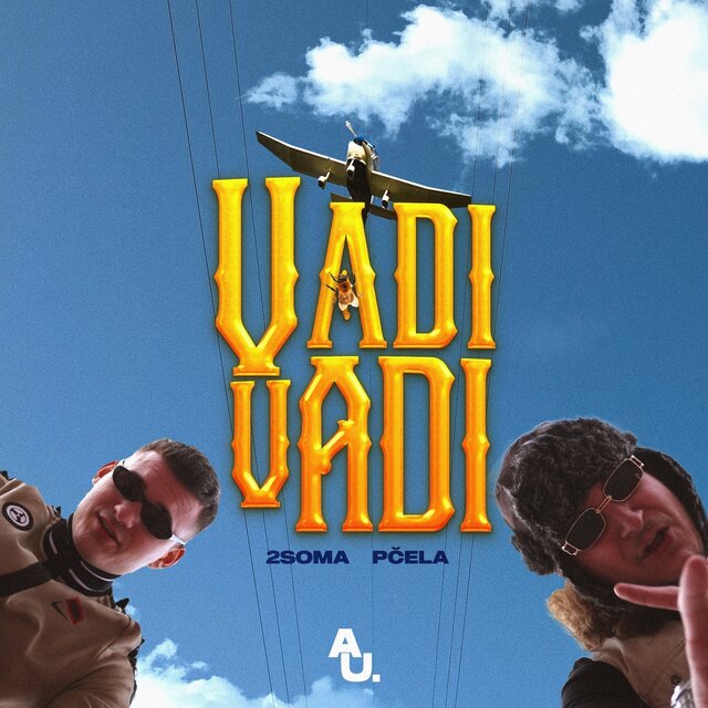 Vadi vadi
