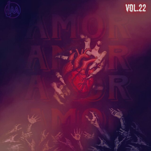 CANCIONES A MI ESTILO, Vol. 22
