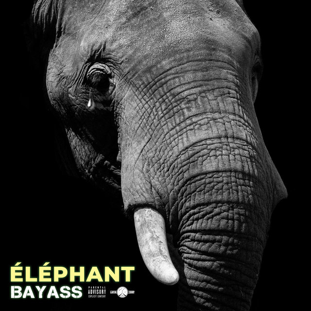Éléphant