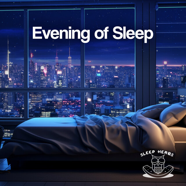 Evening of Sleep