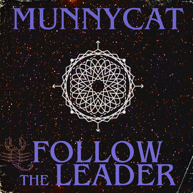 follow the leader