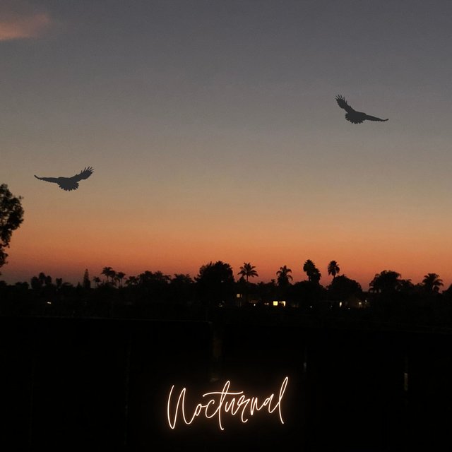 Nocturnal