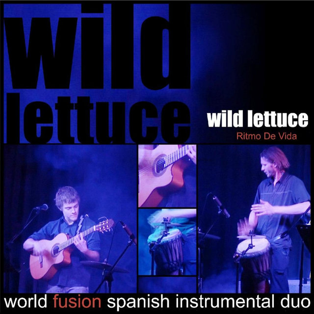 Ritmo De Vida