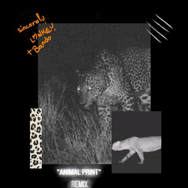 Animal Print -Remix