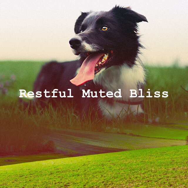 Restful Muted Bliss