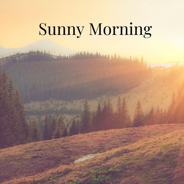 Sunny Morning