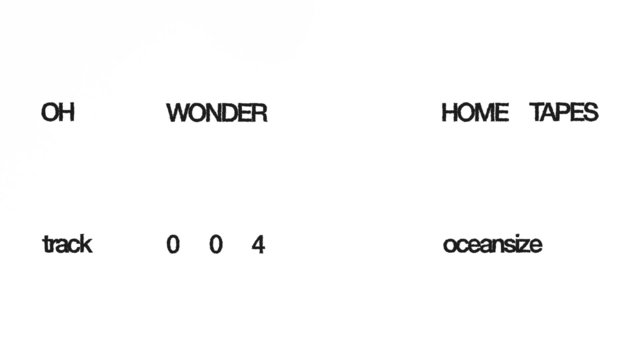 Oceansize