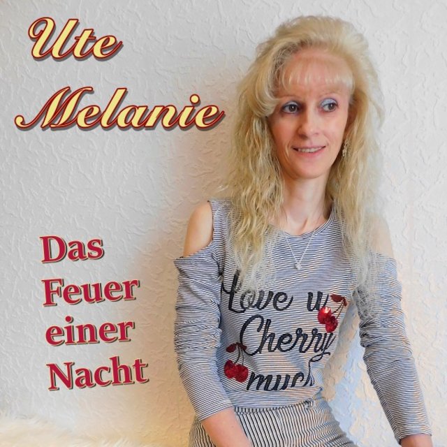 Das Feuer einer Nacht