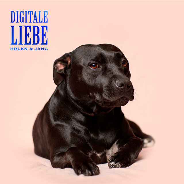 Digitale Liebe