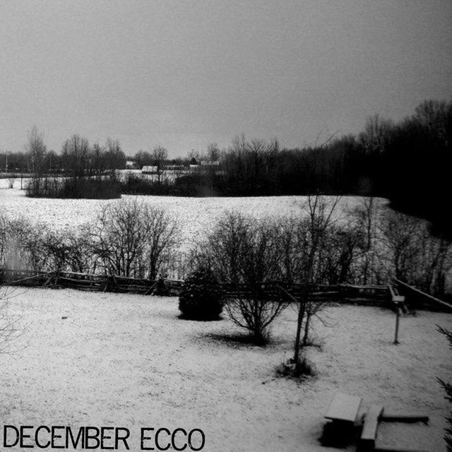 December Ecco
