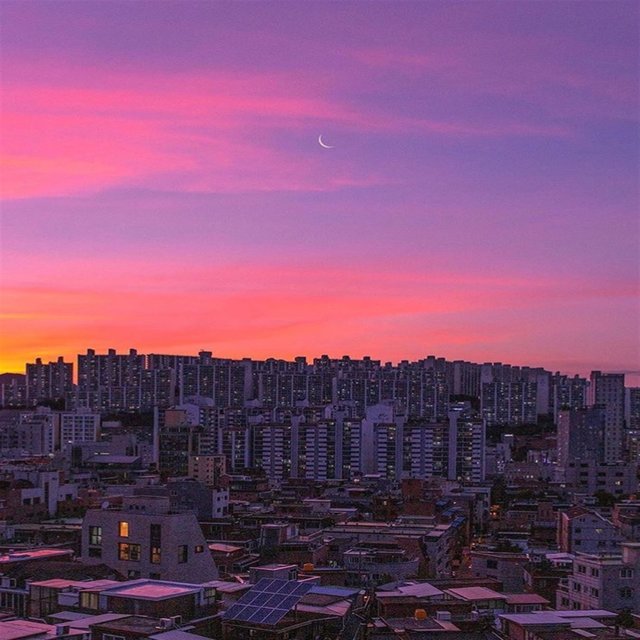 City Zamba