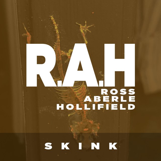 Skink