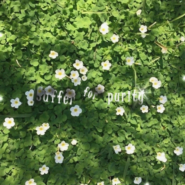 sufferforpurity
