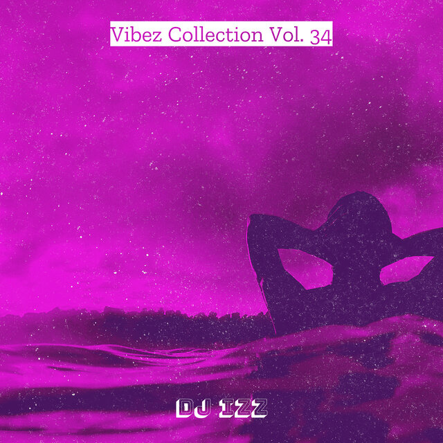 Vibez Collection, Vol. 34