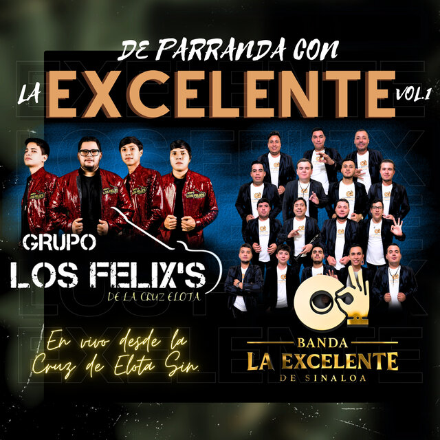 De Parranda Con la Excelente, Vol.1