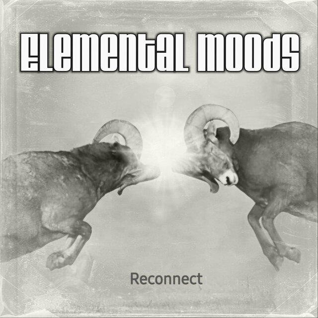 Reconnect