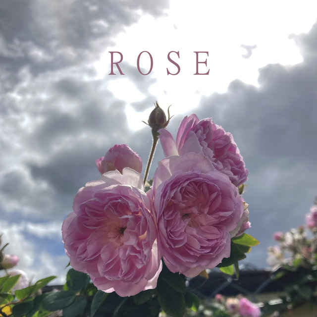 R o S E
