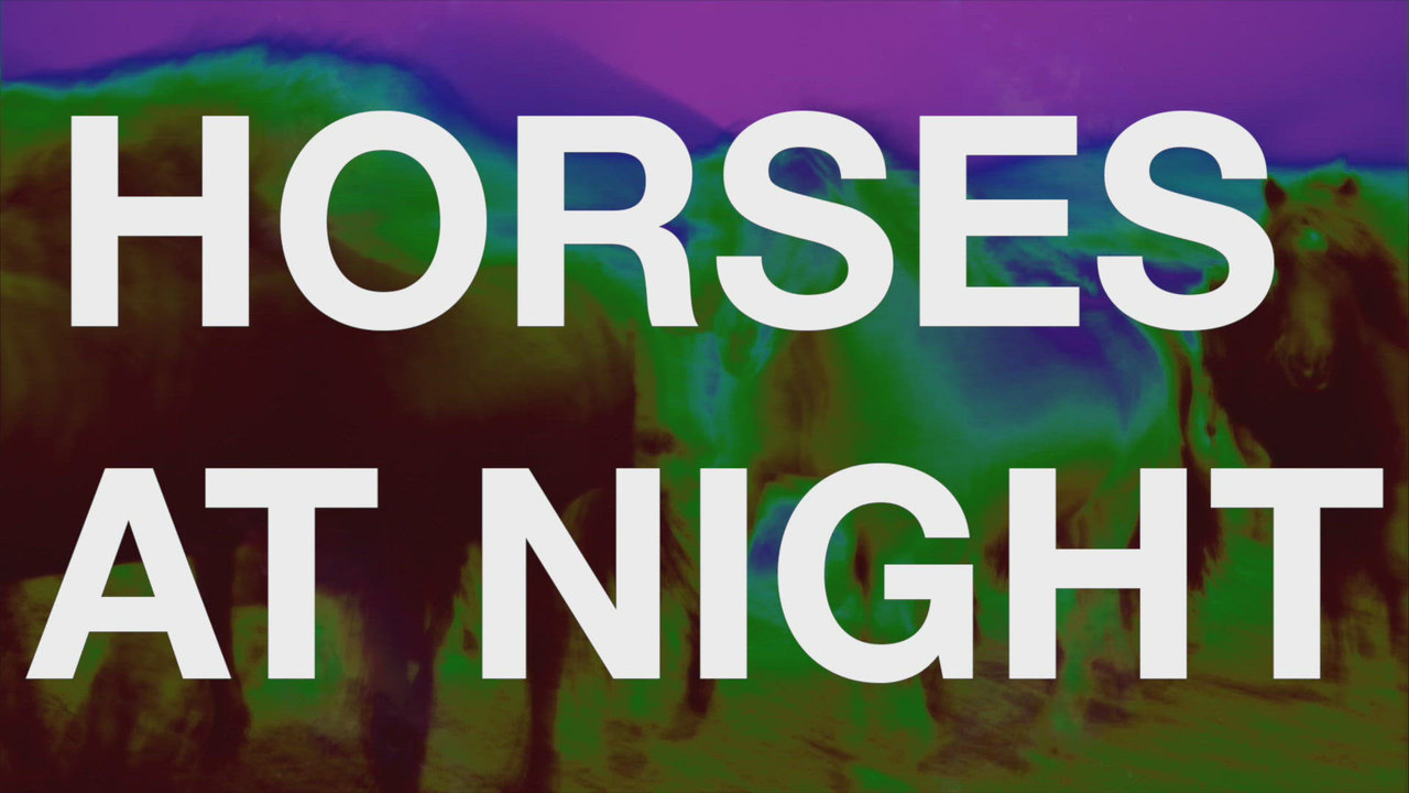 Horses at Night (Official Visualization)