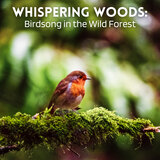 Tales of the Treetops