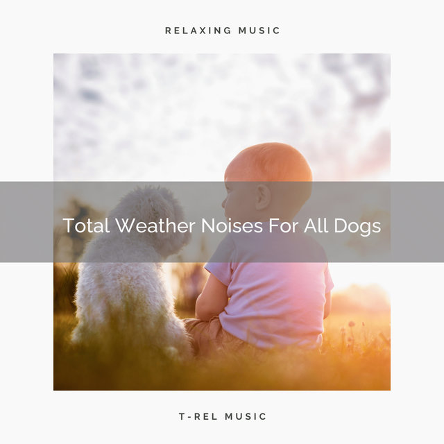 Total Weather Noises For All Dogs