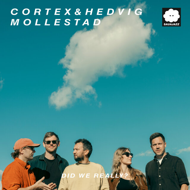 Cover art for album Did We Really? by Hedvig Mollestad, Cortex