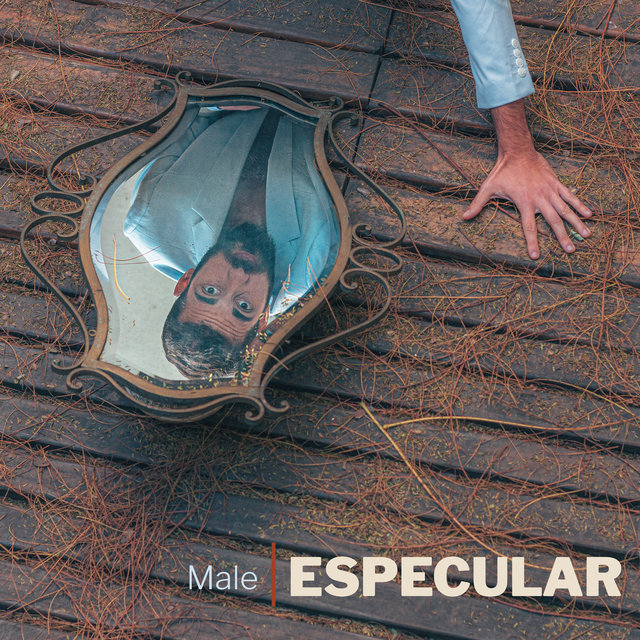 Especular