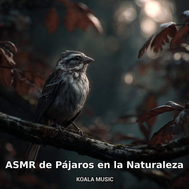 ASMR de Pájaros en la Naturaleza